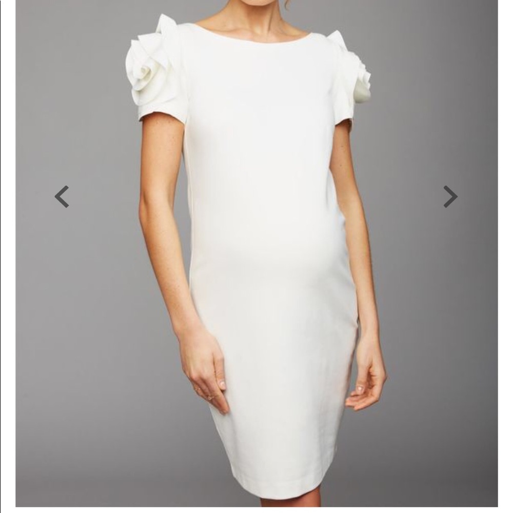 Pietro Brunelli Salisburgo Maternity Dress